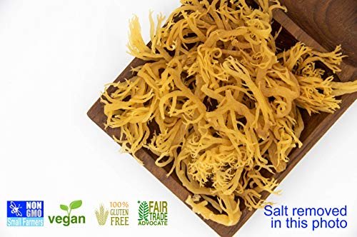 Karibbean Flavours Premium Irish Moss Superfood (8 Ounce/230g) | Caribbean Superfood - Wildcrafted Seedstock - Ethically Harvested - Makes Over 5 Quarts Gel - size: 8 Ounce (Pack of 1)