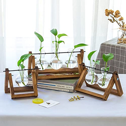 Kingbuy Glass Desktop Planter with Retro Wooden Stand, 2 Bulbs | Plant Terrarium Vase, Indoor Office Desk Decor, Accessories - size: 2 Bulb Vase