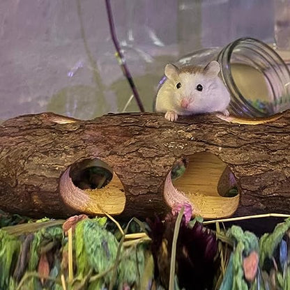 Natural Wood Tunnel Hamster Tunnel for Hamster Reptile Small Animals Cage Hollow Tree Trunk Hideout Toy (7.9"×2.7")