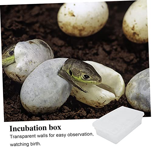 BESPORTBLE 20Grids Reptile Hatching Box Plastic Incubation Tray for Up to Eggs for Breeding Geckos Snakes and Lizards Lightweight and Portable