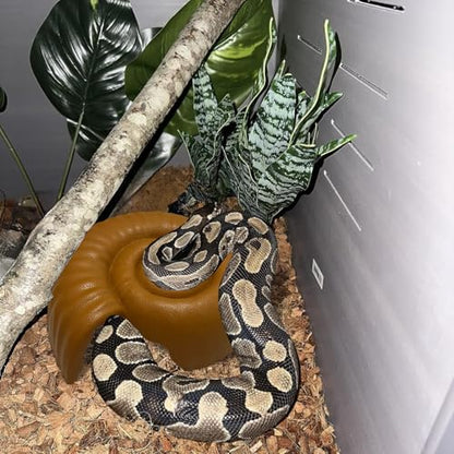 Reptile Tank Accessories, Helicoid Plastic Hideout for Snake, Ball Python Tank Accessories, Snake Hideout for Ball Python, Tank Habitat Accessories