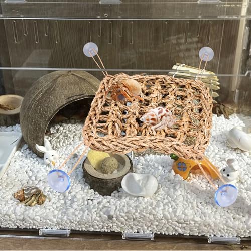 Hermit Crab Climbing Toys,Lizard Seagrass Mat,Hermit Crab Hammock with Suction Cups,Hermit Crab Supplies Decor Habitat,Small Reptile Tank Accessories for Guinea Pigs Hamsters Geckos (Square) - size: Square