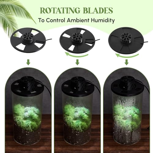 Glass Terrarium Kit with LED Grow Light for Desktop,7.9 x 3.9 Inch | Self Contained Ecosystem, Large Capacity Succulents Moss Venus Fly Trap, Borosilicate Planter, Miniature Garden Home Decor