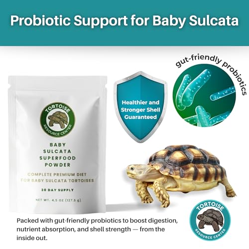 Baby Sulcata Food with Calcium - Human Grade Scientifically Formulated Diet for Healthy Growth - 4.5 oz 30-Day Supply for All Grassland Tortoises! - size: 4.5 Ounce (Pack of 1)