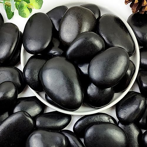 5lbs Black Pebbles for Plants, 2-3 Inch River Rocks for Landscaping | Large High Polished Natural Decorative Stones Vase Filler Fish Tank Aquariums Landscaping Garden Outdoor and Indoor DIY - color: Black, size: 5 Pounds