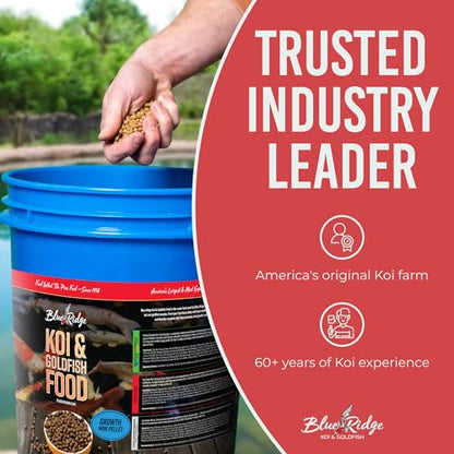 Blue Ridge Koi Fish Food 14lb - Koi Food Mini Growth Formula, Goldfish Food, Premium Fish Food for Ponds, Ponds Fish Food, Floating Pond Pellets - size: 14 Pound (Pack of 1)