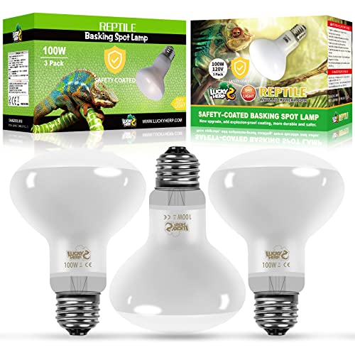 LUCKY HERP New Upgrade 3 Pack 100W Reptile Heat Lamp Bulb (3nd Gen, Safer), Amphibian UVA Heat Light Bulb, Reptile Basking Daylight Spot Lamp Bulb for Bearded Dragon, Lizard, Tortoise Heating Use - size: 100*3