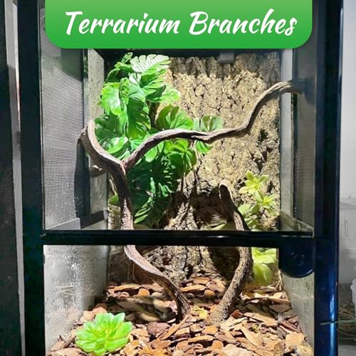 Reptile Branch Decor Snake Climbing Wood Branches Lizard Habitat Decorations Terrarium Wooden Tree Trunk Ornament for Bearded Dragon Snake Geckos Chameleon Frog 4 Pcs (14-16 inch) - size: 4 PCS-Diameter: 0.8-1.2 inches