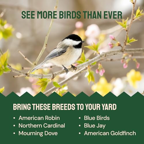 Hatortempt 2lb Dried Mealworms for Chickens, Birds, High Protein Bird Feed | High-Protein Wild Bird Food - Organic Diet Meal Worms - Hand Inspected Treats for Blue Birds, Robin, Ducks - 2 Yr Shelf Life - size: 2 Pound (Pack of 1)