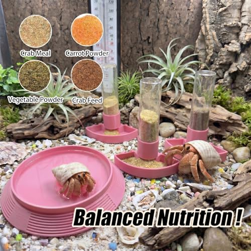 4-in-1 Hermit Crab Feeding Station - Integrated Nutrition and Hydration Center，3D-Printed Tank Accessories Made from Safe Materials, Suitable for Hermit Crabs and Small Reptiles. - color: Pink