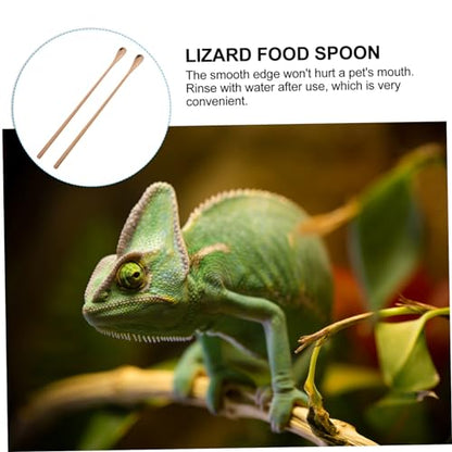 HANABASS 2pcs Lizard Food Scoop Reptile Feeder Pet Supply Small Pet Feeding Spoon for Animals - color: Rose Gold