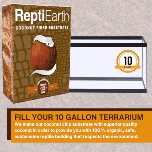 ReptiEarth Reptile Bedding, Fluffy Coconut Fiber Substrate 12 Quart Organic Coco Ready to Use for Bioactive Snake Terrarium, Lizard Tanks with Plants, for Frog, Tarantula or Hermit Crab Habitat - size: 12 Quart