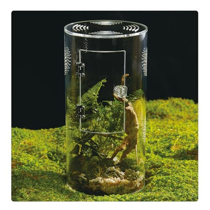 Acrylic Terrarium for Reptiles & Spiders – Small/Medium/Large Leak-Proof Enclosure (Horizontal/Vertical) | Ideal for Tarantulas, Jumping Spiders, Frogs & Geckos(Large, Round) - size: Large