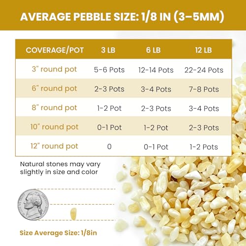 1/8 Inch Aquarium Gravel, Cream Beige Small Pebbles for Fish Tank, Succulents, Indoor Plants, Terrarium, Vase Filler, Natural Mini River Rocks for Drainage and Top Dressing, 12LB - color: Cream Beige, size: 12LB