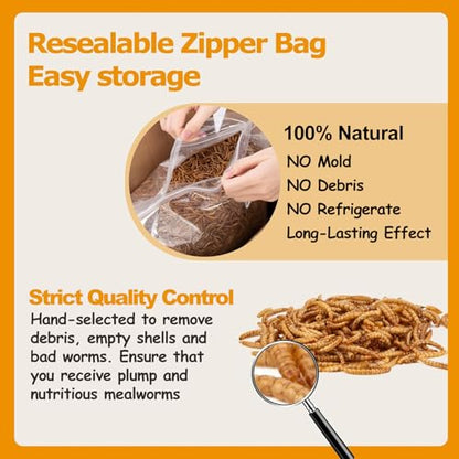 5LB Dried Mealworms, Non-GMO Meal Worms for Chickens & Birds, High Protein Chicken Feed, Natural Chicken Worms Ideal for Wild Birds, Reptile Tasty Bird Food