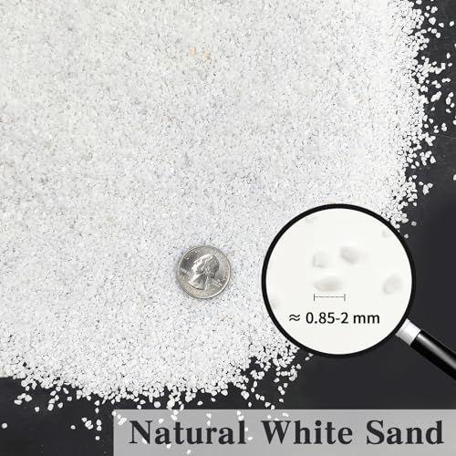FANTIAN White Aquarium Sand, 5 lbs Fish Tank Sand | Aquarium Substrate Gravel, Safe for Fish Tank, Shrimp, Turtle, Terrariums, Aquatic, Plant, Fire Pits, Candle, Vase, Crafts - color: White, size: 5 LB