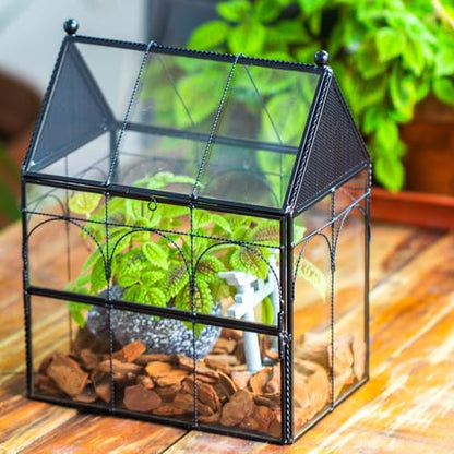 NCYP Glass Jumping Spiders Enclosure with Vent Holes - 7.5" x 4.9" x 9" Vented Glass Terrarium for Small Spider, Mantis, Small Beetle, House Shape, Tabletop Decor, Black (Terrarium Only)