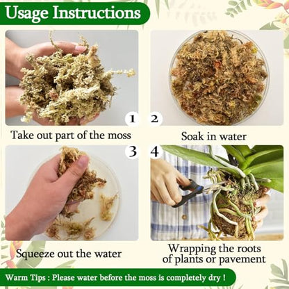 2.2lb Sphagnum Moss for Plants, 40QT Orchid Moss Potting Mix | Long Fiber Sphagnum Moss Dried for Plants Indoor, Orchid Repotting, Succulent, Carnivorous Plants, Terrarium and Reptiles - size: 2.2lb