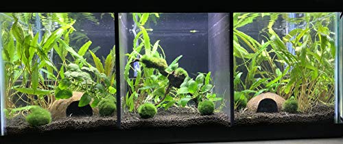 20 Gallon Long Aquarium Tank Divider (3 Pack) Check Compatible Tank Below.