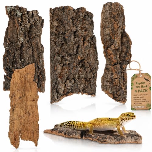 POPETPOP 4 Pcs Reptile Tree Bark Decor, Natural Wood Cork Bark for Reptile Hides, Small Climbing Platform for Lizard Geckos Tortoise Terrarium Accessories (Random Shape & Size)