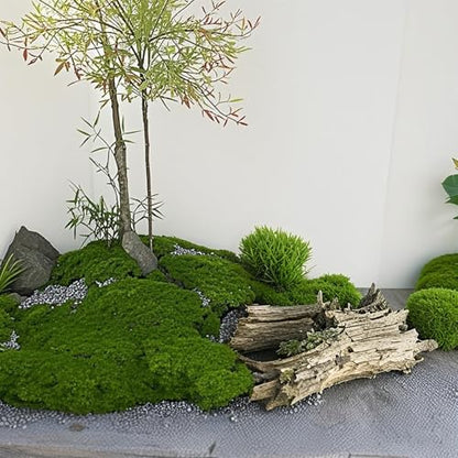 Fake Green Moss for Decorating, 100g/3.5oz Artificial Moss for Aquarium Model Crafts Table Centerpieces Decor (Green, 100g/3.5oz) - size: 100g/3.5oz