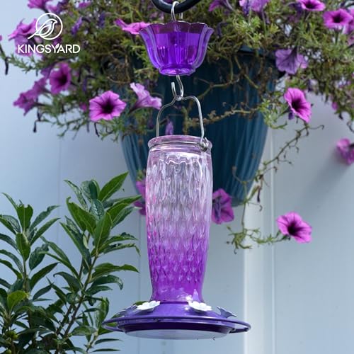 Kingsyard Glass Hummingbird Feeder for Outdoors with Ant Moat | 24 oz, Wide-Mouth Opening, 6 Metal Feeding Ports, Bee Guard, Easy to Clean & Refill Nectar, 360 Degree Perch, Pink & Purple - color: Pink & Purple