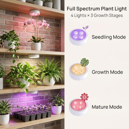 1 Pack Rechargeable Grow Light, Cordless Full Spectrum LED for Indoor Plants, Magnetic Mount, Timer & Remote, USB-C 2000mAh for Shelf, Herbs, Succulents, Seedlings & Greenhouse (Black)