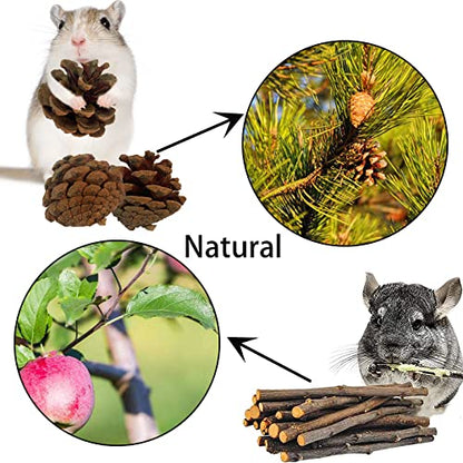 Wooden Hamster Tunnel Natural Birch Wood Tree Holes Tube Small Animal Hollow Trunk Hideout Exercise Dwarf Mice Chew Toys Cage Accessories for Chinchillas Guinea Pigs Dwarf Mouse Rat(10Pcs) - size: 【10Pcs】