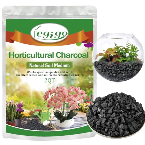 10 LB Organic Leca Clay Pebbles & 2 QT Horticultural Charcoal, Natural Soil Amendment for Drainage, Aeration, and Healthy Indoor Plants, Orchids, Hydroponics & Terrariums
