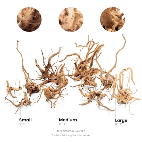 Ultum Nature Systems Driftwood - Spider Drift Wood for Fish Tank, Planted Tank, Terriarium, Paludarium - Versatile Natural Driftwood Decor, Events Wood Centerpiece - Spider Wood, L 15-20", 5 Pack - size: 15-20" 5-Pack