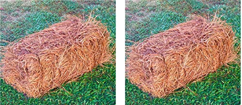 USA Pine Straw - Premium Pine Needle Mulch (Pine Needle Mulch - Covers 65-80 Sqft 2 Set) - size: Pine Needle Mulch - Covers 65-80 Sqft 2 set