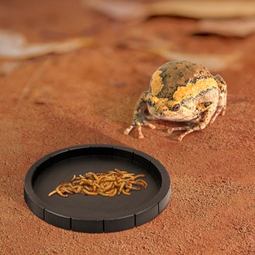 Popetpop 2 Pcs Reptile Feeding Dish: Plastic Turtle Food Bowl, Reptile Food Dish for Tortoise, Leopard Gecko, Lizard, Bearded Dragon, Snake Drinking and Eating (Black, 6.9 Inch)