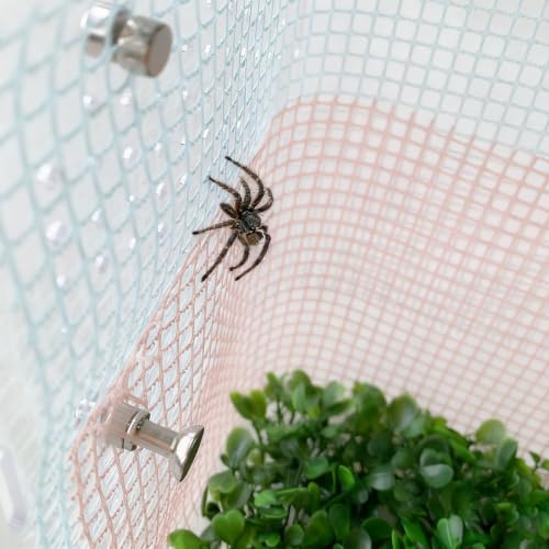 Jumping Spider Enclosure Accessories, Climbing Net & Fence for Reptiles | Spider Terrarium Decor,Jumping Spider Suspension Bridge,for Small Reptile Spoods Jumping Spider Habitat Accessories Set.