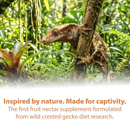 CTWPets Liquid Crested Gecko Treat & Food Topper, Mango Papaya, 4 fl oz | Value-size mango papaya gecko nectar for crested geckos; use as a liquid treat, water additive, food topper or CGD mixer - size: 4 Fl Oz (Pack of 1)