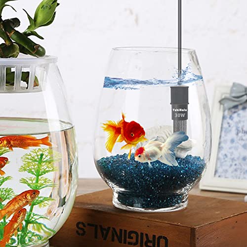 YukiHalu Super Mini Aquarium Heater, 10W 20W 30W Adjustable Fish Tank Heater with External Controller, Overheating Protection, Digital Display, Used for 0.5-3 Gallons(10 watts) - size: 10 Watts