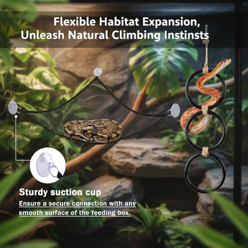 Snake Climbing Rings with 2 Hammock for Ball Python & Corn Snake, Reptile Enrichment Toys for Snake, Ball Python Tank Decor Reptiles Climbing Toy Hammocks (Black)
