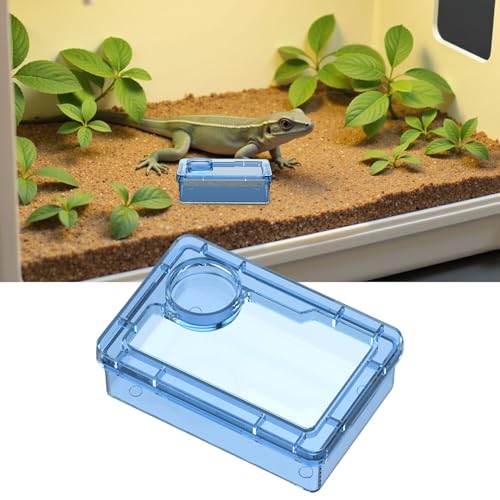 Reptile Water Bowl - Anti-Escape Crested Gecko Food Dish, Reptile Amphibian Feeders, Polystyrene | Snake Water Bowl for Habitat Feeding Gecko Chameleon Terrarium Frog Tank Lizard Tortoise Cage Le - color: Blue
