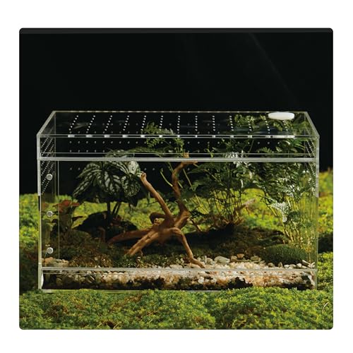 Acrylic Terrarium for Reptiles & Spiders – Small/Medium/Large Leak-Proof Enclosure (Horizontal/Vertical) | Ideal for Tarantulas, Jumping Spiders, Frogs & Geckos (Large, Horizontal) - size: Large
