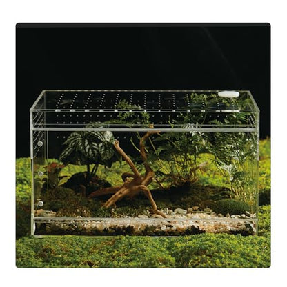 Acrylic Terrarium for Reptiles & Spiders – Small/Medium/Large Leak-Proof Enclosure (Horizontal/Vertical) | Ideal for Tarantulas, Jumping Spiders, Frogs & Geckos (Large, Horizontal) - size: Large