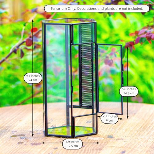 NCYP Small Glass Enclosure Terrarium with Mesh and Door for Spiders - Hexagon Shape Small Mantis Vented Glass Terrarium 4.9'' x 4.3'' x 9.4'', Tabletop Decor, Black (Plants Not Include)