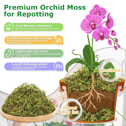 7OZ Sphagnum Moss for Plants, 10QT Natural Long Fiber Orchid Moss | Drainage & Moisture Retention, Green Plant Moss for Orchid Repotting, Carnivorous, Succulents, Reptile Bedding & Terrariums - size: 7OZ