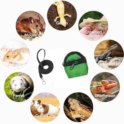Crested Geckos Backpack Carrier,Reptile Portable Backpack Carrier with Small Backpack Harness Leash Set,Space Capsule Clear Bubble Window Travel Backpack for Lizard Travel,Guinea Pig,Bearded Dragon - color: Green