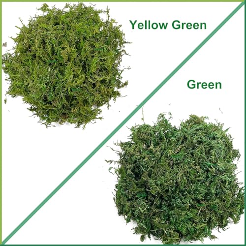 Artificial Dried Forest Moss Fake Moss Preserved Green Moss for Potted Plant Orchid Potting Mix Sphagnum Peat Moss Pole Craft Arts Floral Wedding Decor Centerpiece Fairy Garden Decoration 3.5oz