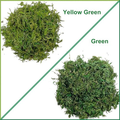 Artificial Dried Forest Moss Fake Moss Preserved Green Moss for Potted Plant Orchid Potting Mix Sphagnum Peat Moss Pole Craft Arts Floral Wedding Decor Centerpiece Fairy Garden Decoration 3.5oz