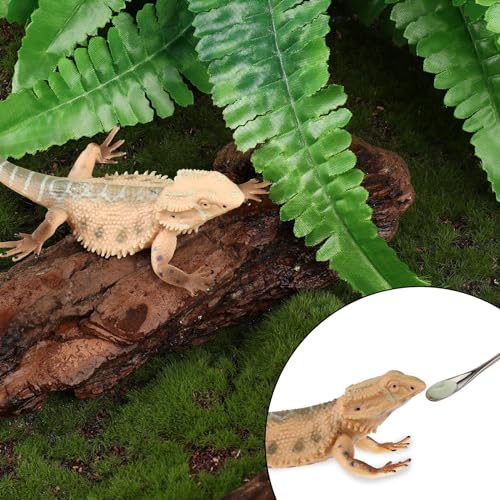 Abeillo 2Pcs Crested Gecko Feeding Spoon, Stainless Steels Reptile Spoon, 7.6 Inch Long Handle Crested Food Feeding Spoon for Gecko Lizard Gargoyle Bearded and Other Small Animals