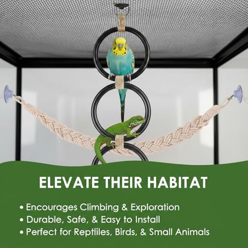 2pc Snake Climbing Toys, Reptile Enrichment Toys Climbing Rings Swing Climbing Rope for Ball Python Corn Snake Durable Habitat Decor Tank Accessories for Garter Snakes, Gecko, Chameleon, Iguana,Lizard
