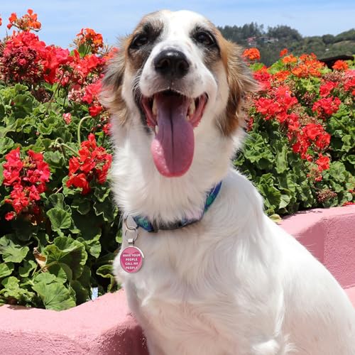 MYLUCKYTAG QR Code Pet ID | Personalized Dog & Cat Collar Tag | Online Profile with Instant Scanned Location Alert Email - style: Have your people-Pink
