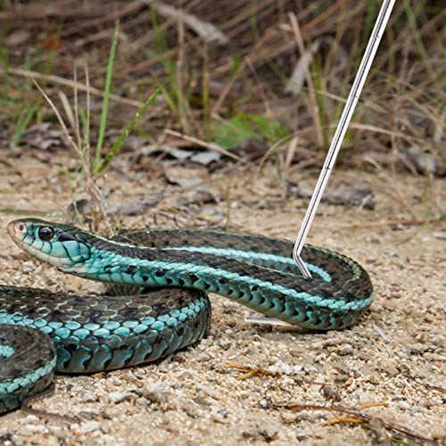Collapsible Snake Hook Stainless Steel Extensible Snake Catcher Capture Hook for Catching Handling Grabber Separate Small Pet Snake | Non-slip Handle,Collapsible,Portable Mini,Retractable,Catching Snake Handling Tool,Professional,Easy to Carry and Store