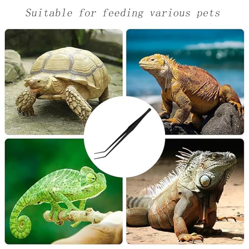 15 Inch Black Curved Aquarium Tweezers Stainless Steel With Rust Proof Carbonized Coating Reptile Feeding Tongs For Aquatic Plants Lizards Spiders Snakes Geckos