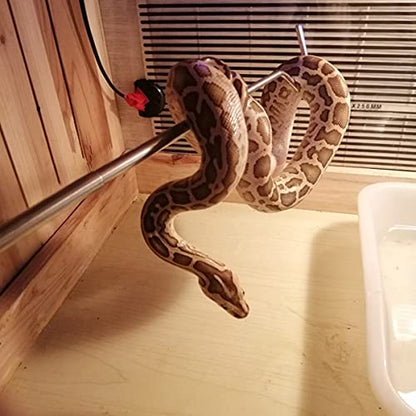BESPORTBLE Retractable Stainless Steel Snake Hook Tool for Safe Handling of Reptiles Telescoping Design for Snake Enthusiasts and Reptile Care